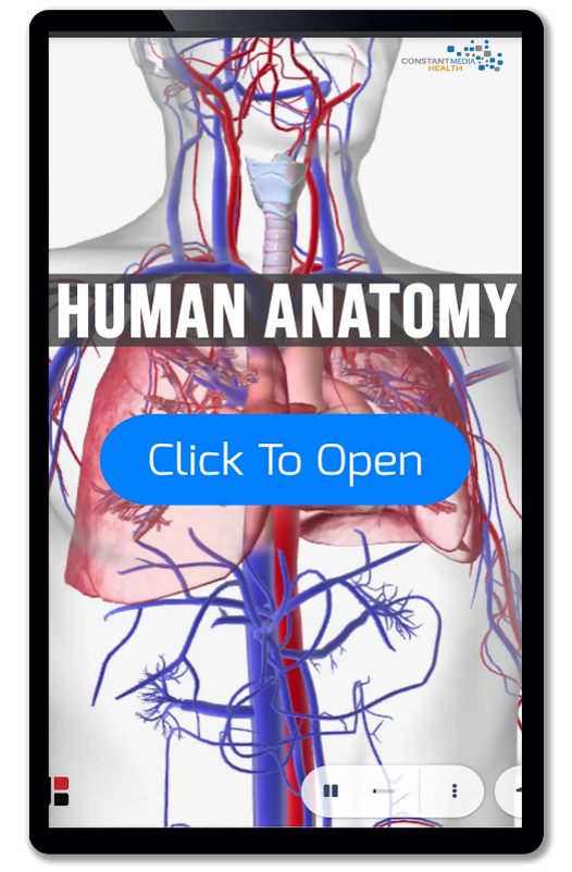 Digital Wallboard - Interactive Exam room Digital wallboards are valued tools for HCPs. Providers use the human antomy app to help patients visualize their anatomy, health conditions and treatments using 3D anatomical models. Ad content automatically scrolls creating a constant exposed ad opportunity immediately prior to physician arriving in exam room.