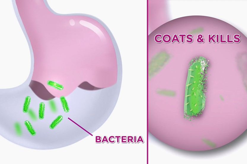 Patient-friendly video explains how Pepto coats the stomach and kills bacteria to provide relief.
